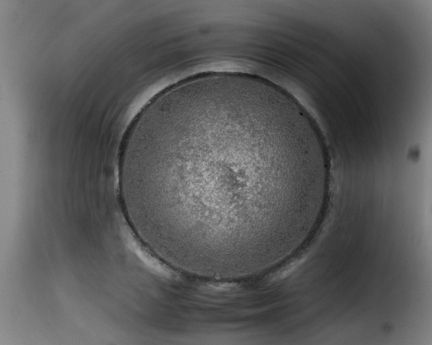 X0000116000837200911191422