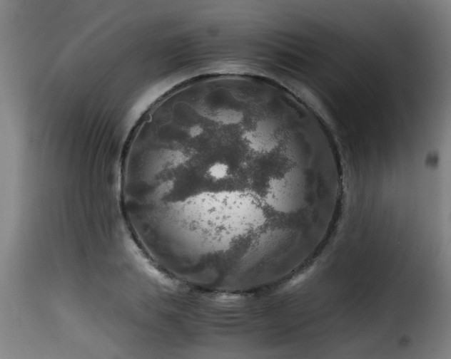 X0000116000839200911191422