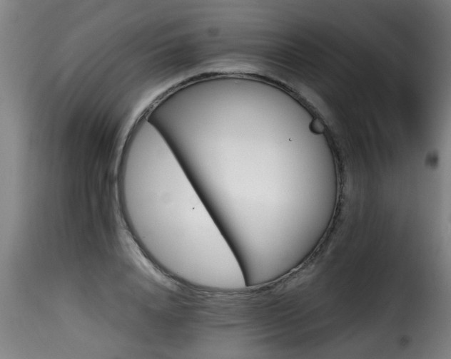 X0000116000840200911191422