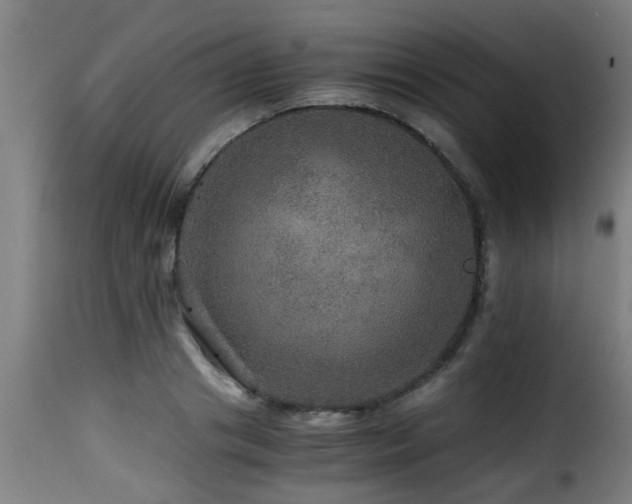 X0000116000841200911191422