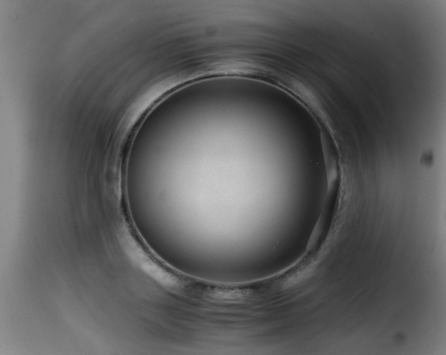 X0000116000843200911191422