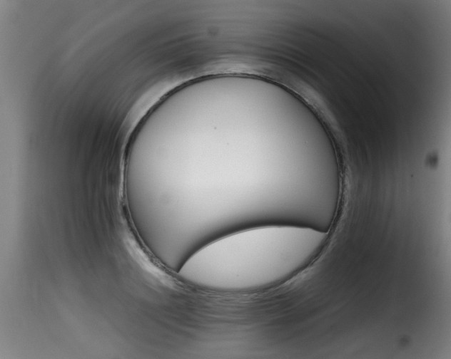 X0000116000844200911191422