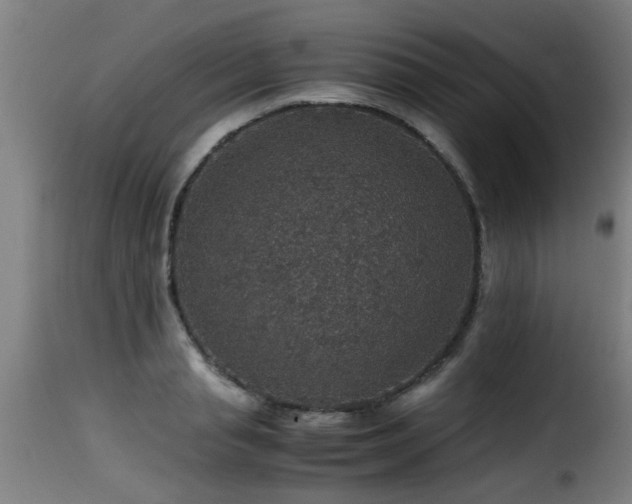 X0000116000845200911191422