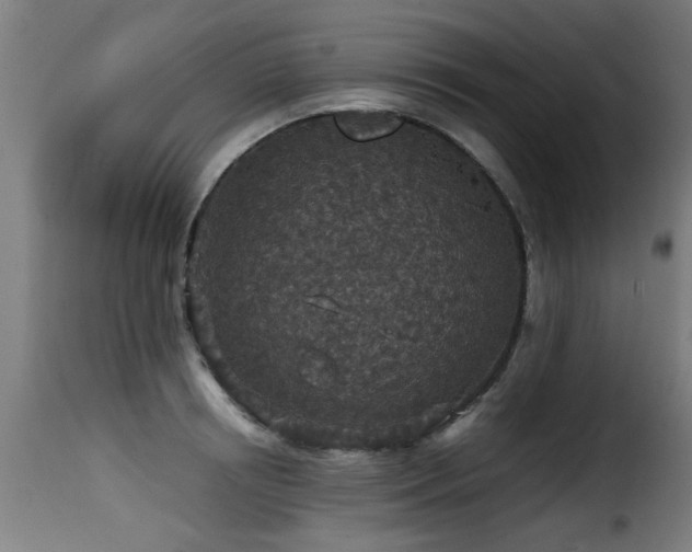 X0000116000850200911191422