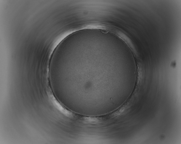 X0000116000852200911191422