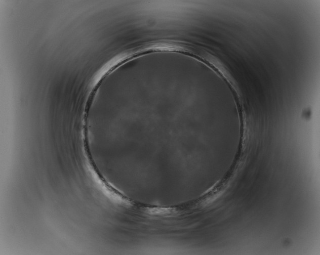 X0000116000853200911191422