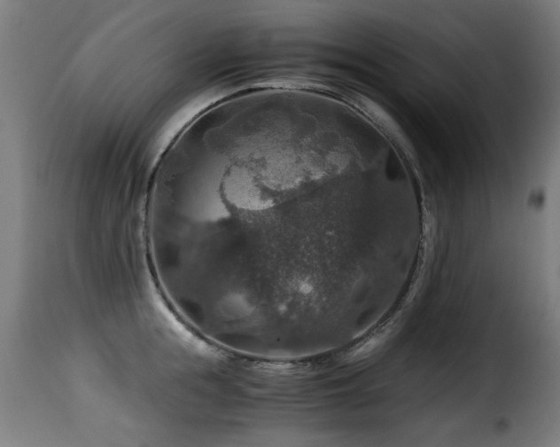 X0000116000855200911191422