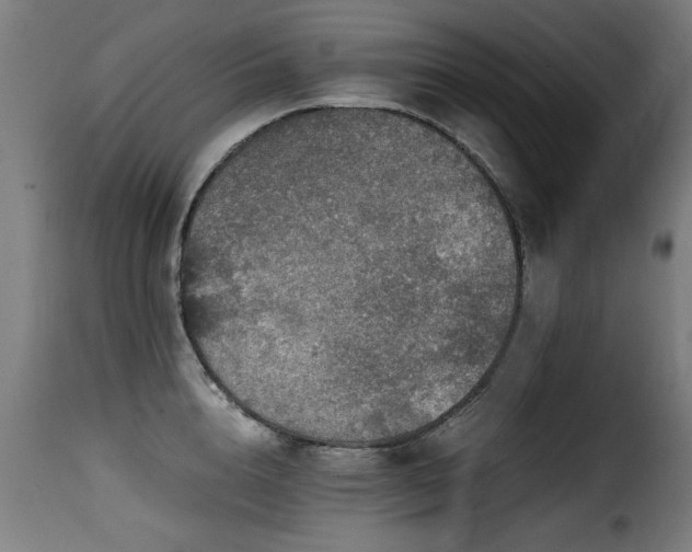 X0000116000856200911191422