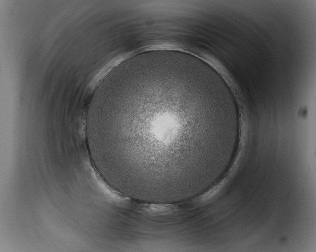 X0000116000857200911191422