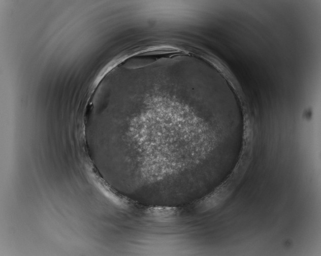 X0000116000858200911191422