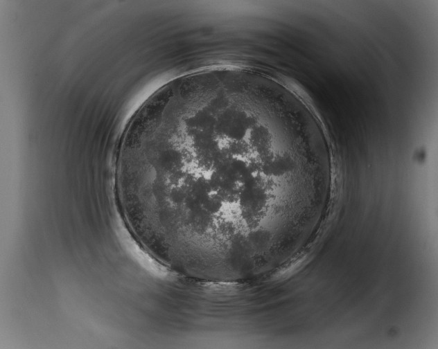 X0000116000859200911191422