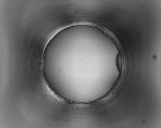 X0000116000860200911191422