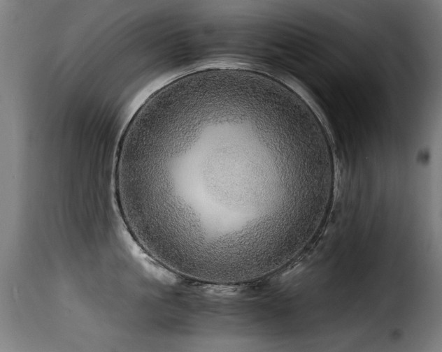 X0000116000861200911191422