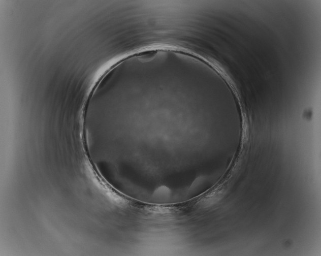 X0000116000862200911191422