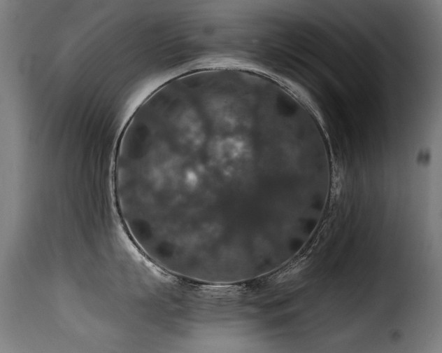 X0000116000863200911191423