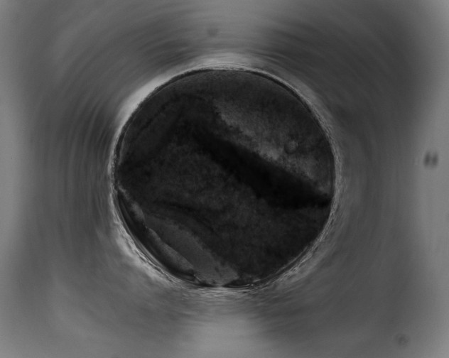 X0000116000864200911191423