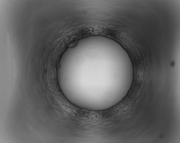 X0000116000865200911191422