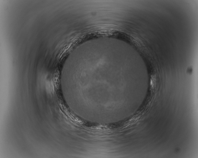 X0000116000867200911191422