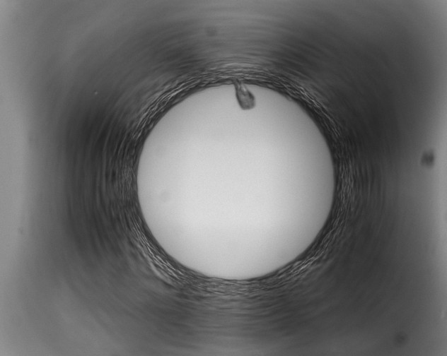 X0000116000868200911191422