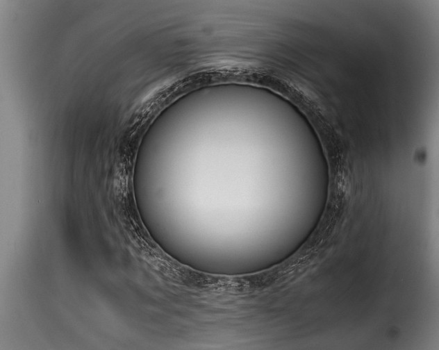 X0000116000869200911191422