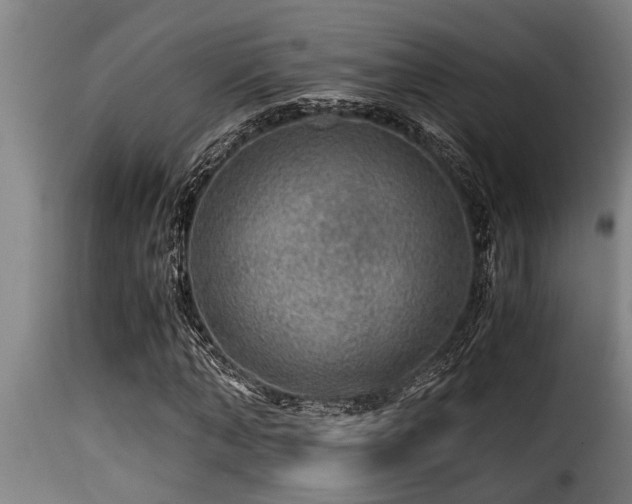 X0000116000870200911191422