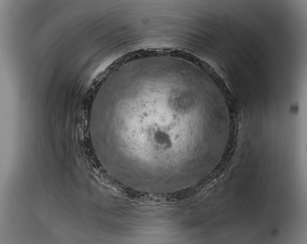 X0000116000871200911191422