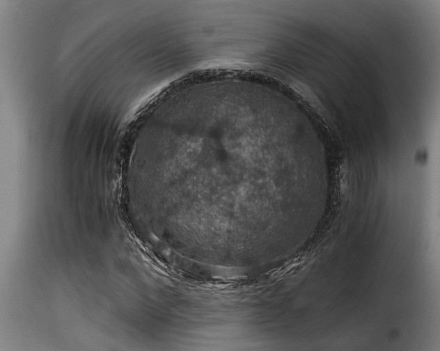 X0000116000872200911191422