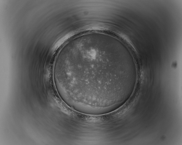 X0000116000874200911191422