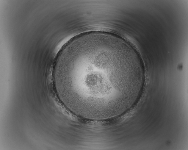 X0000116000875200911191422