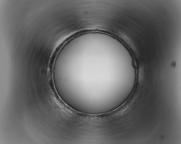 X0000116000876200911191422