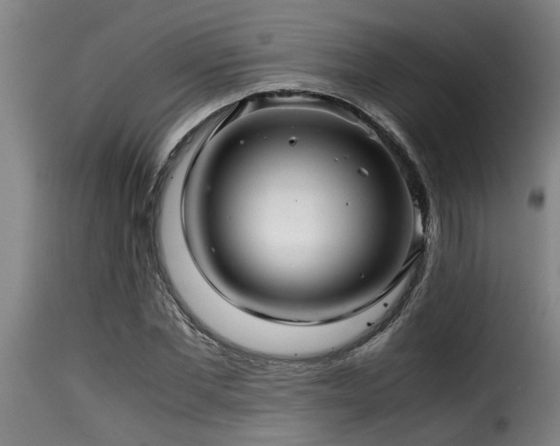 X0000116000877200911191422