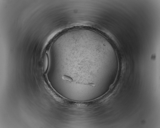 X0000116000878200911191422