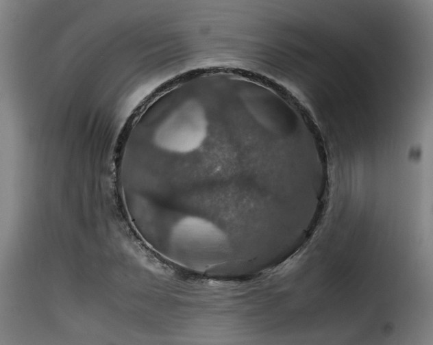 X0000116000879200911191422