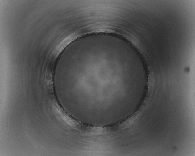 X0000116000881200911191422