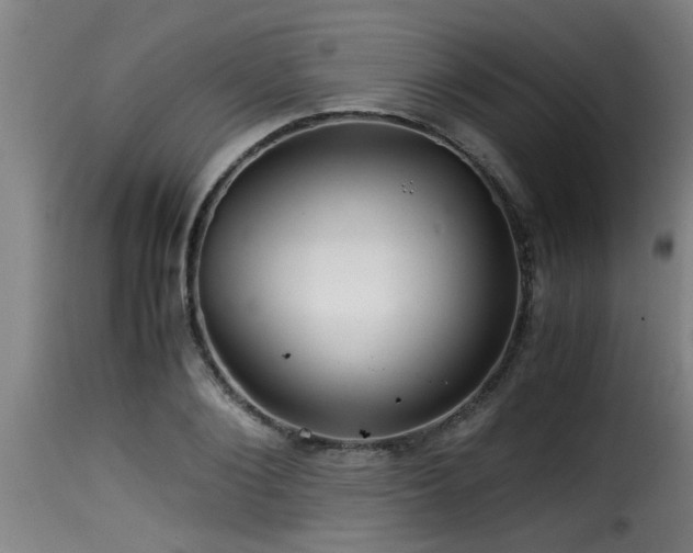 X0000116000884200911191422