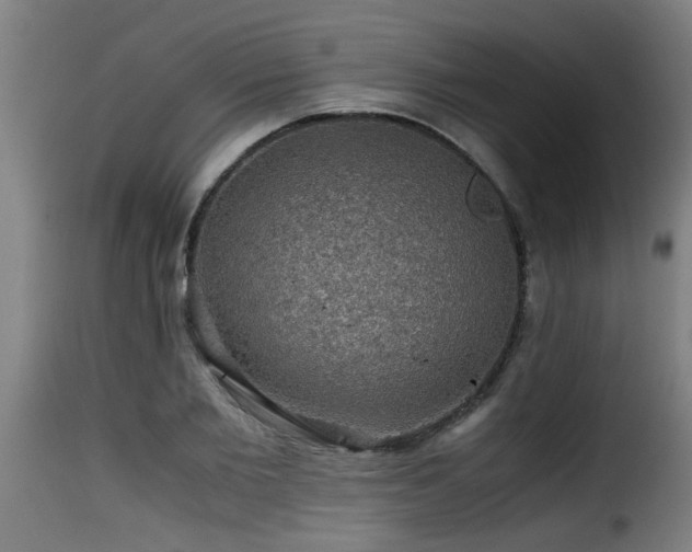 X0000116000885200911191422