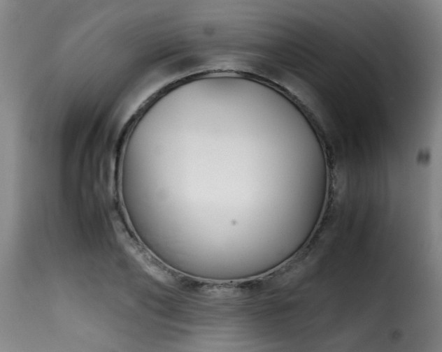 X0000116000886200911191422