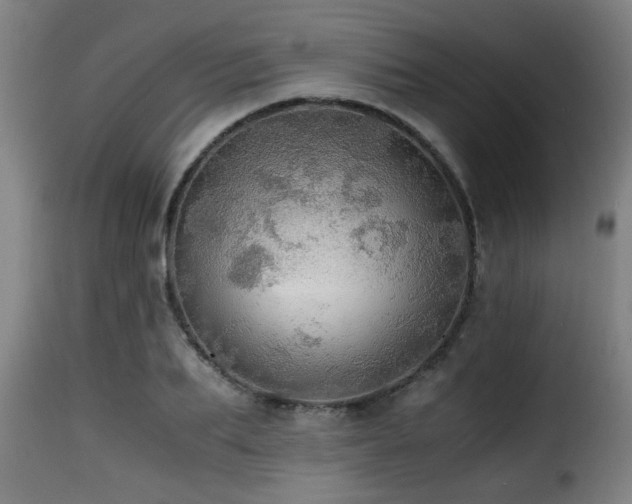 X0000116000887200911191422