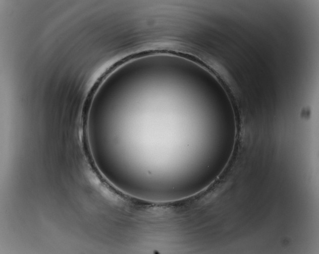 X0000116000888200911191422