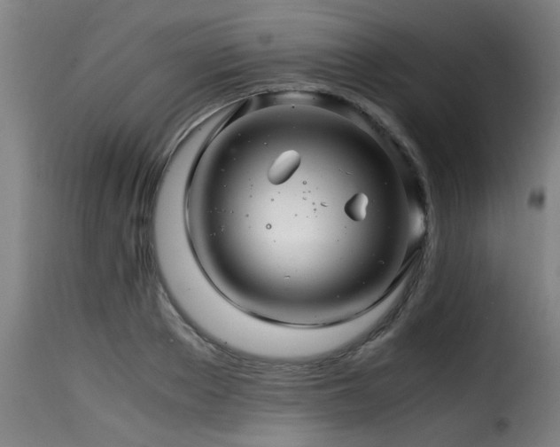 X0000116000889200911191422