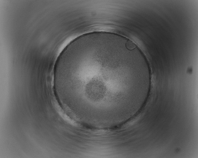 X0000116000891200911191421