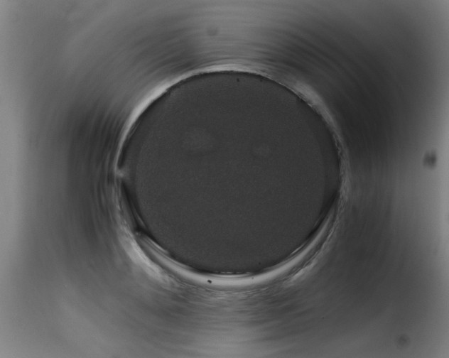 X0000116000892200911191421