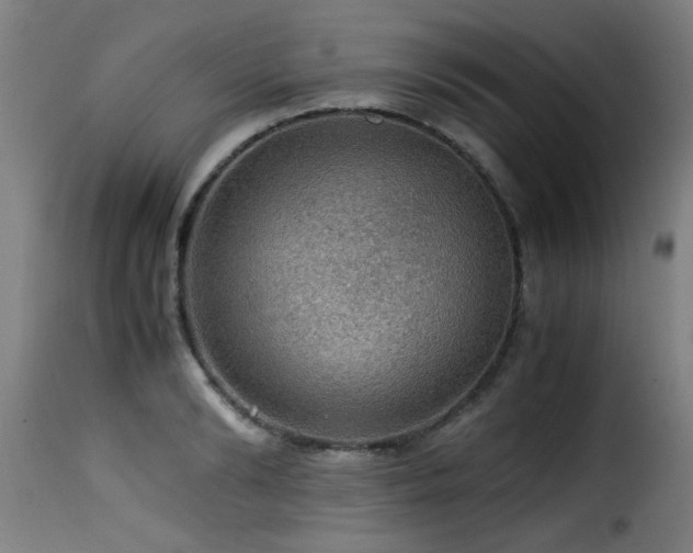 X0000116000894200911191421