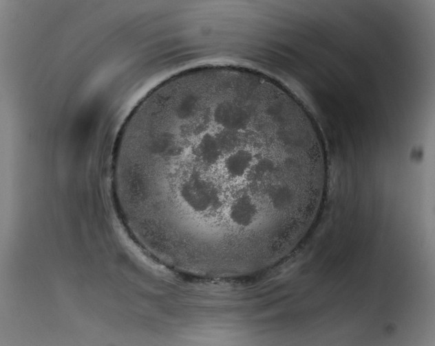 X0000116000895200911191421