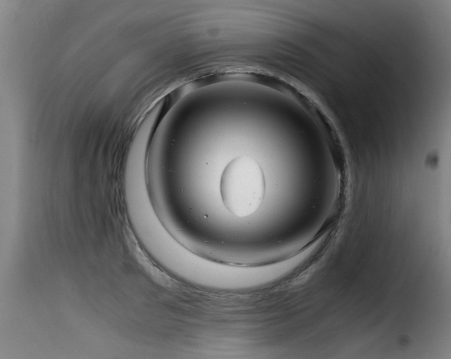 X0000116000897200911191421