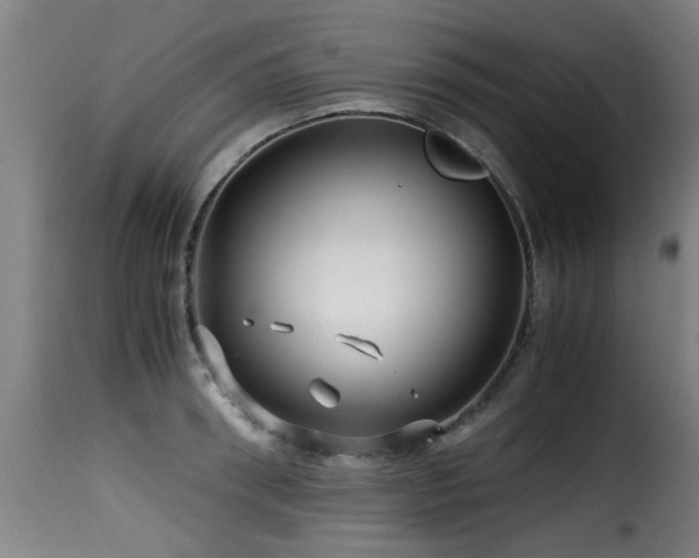 X0000116000898200911191421