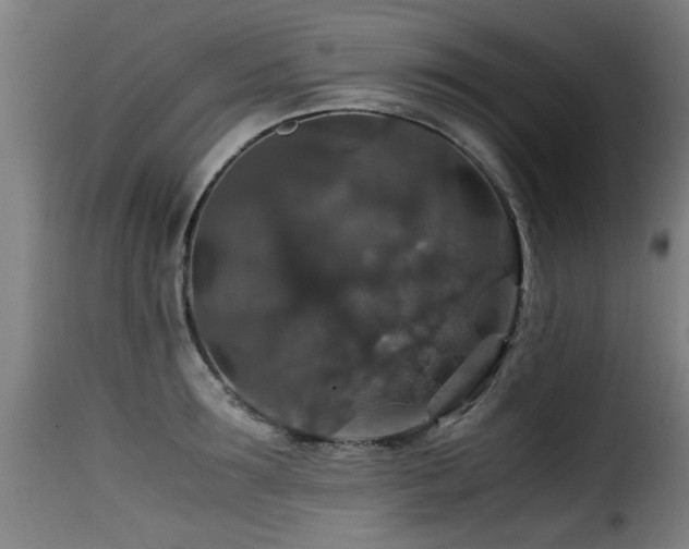 X0000116000899200911191421