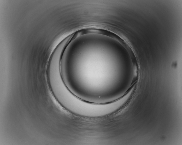 X0000116000901200911191421