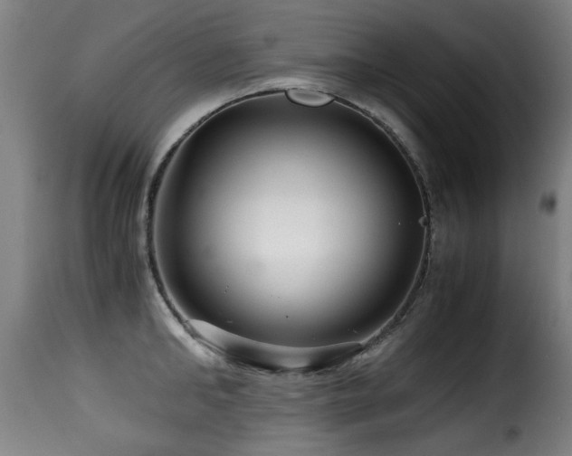 X0000116000902200911191421