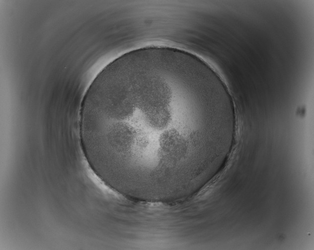 X0000116000903200911191421